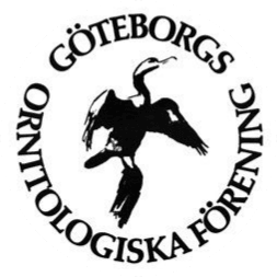 GOF logo